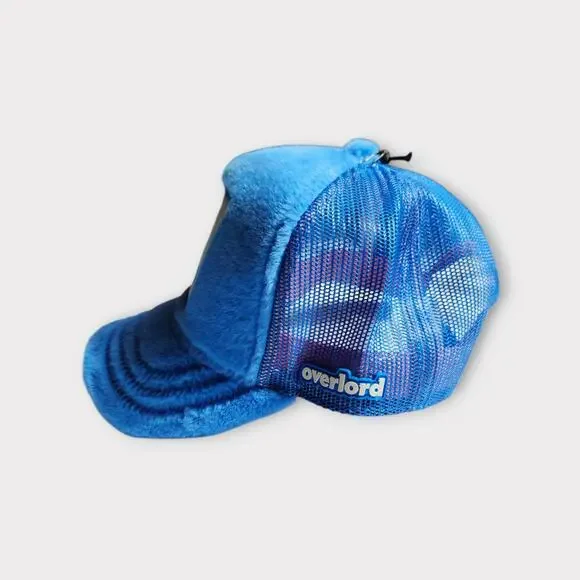 NEW Overlord Care Bears Grumpy Snapback Trucker Hat Blue Adult One Size